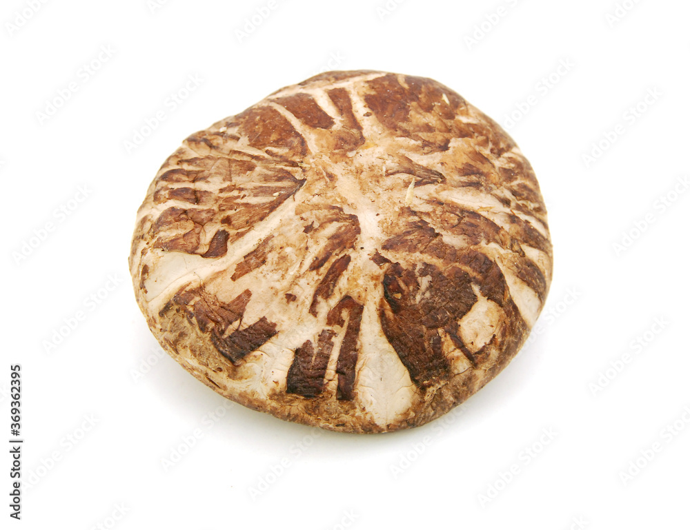 Dried mushrooms isolated on a white background Dried mushrooms isolated on a white background