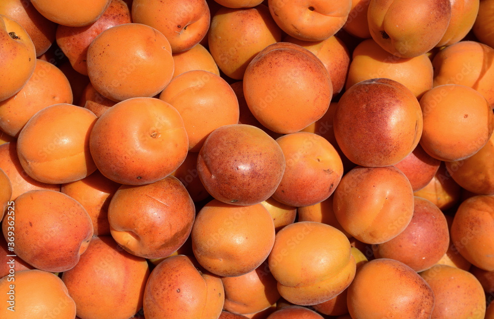 Fresh ripe Apricots on the market. Fresh ripe Apricots on the market.