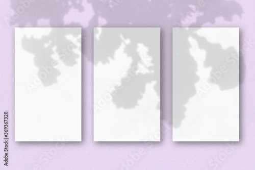 3 vertical sheets of textured white paper on pink table background. Mockup overlay with the plant shadows. Natural light casts shadows from the oak leaves. Horizontal orientation