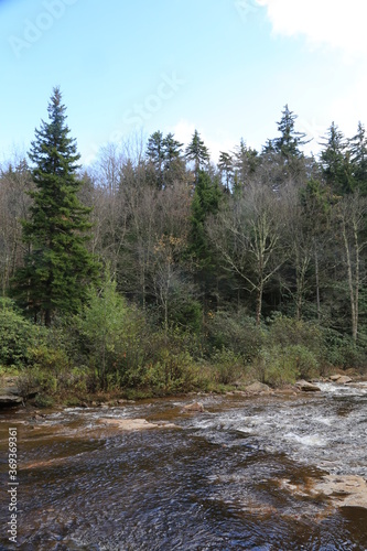 River along the wooded valley