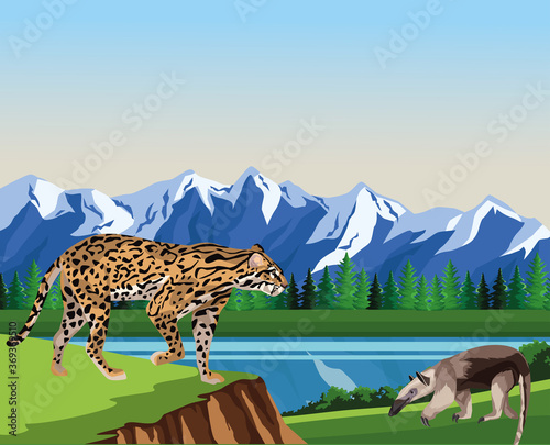 wild anteater and leopard animals in the camp scene