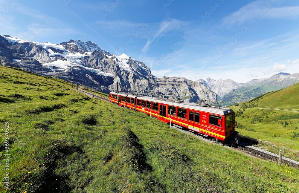 Tourists traveling on a cogwheel train of the famous Jungfrau Railway from Jungfraujoch (Top of Europe) to Kleine Scheidegg on a green grassy hillside under sunny sky, in Bernese Oberland, Switzerland