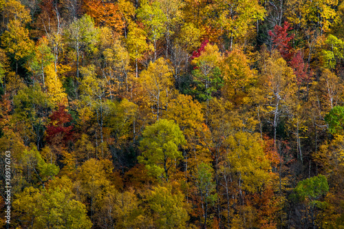 Adirondack Fall Foliage