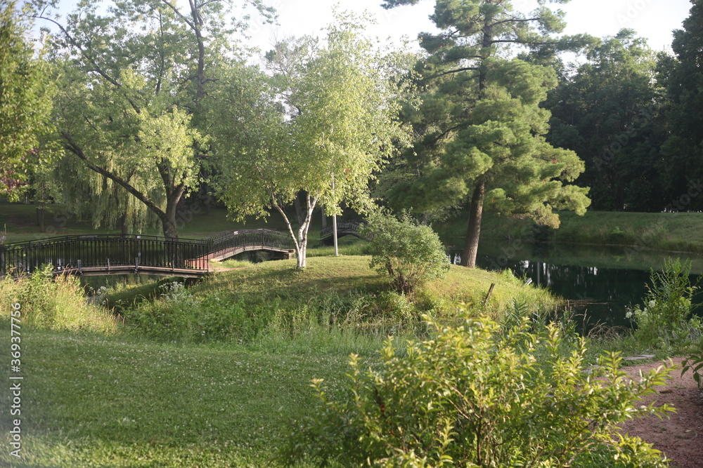 pond in the park pond in the park