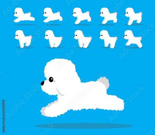 Animal Animation Sequence Dog Bichon Frise Cartoon Vector