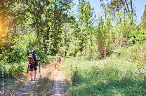 Beautiful couple of hiker on back view wearing backpack doing trekking using hiking stick at forest