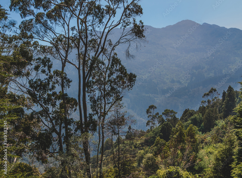 Bogota Colombia, Cerro Monserrate - America Latina