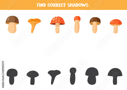 Find right shadow of cute autumn mushrooms.