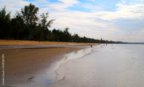 The beach and sea with one dog © Nisa