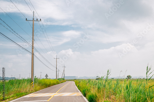 Empty road with green reed field at Hwaseong Fossilized Dinosaur Egg Site in Hwaseong, Korea photo