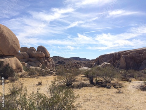 Joshua Tree National Park © Rachel