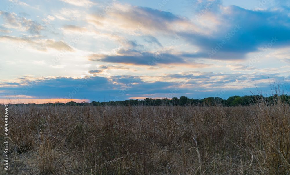 atardecer en el campo con la hierba seca por las heladas