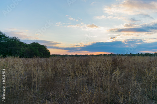 atardecer en el campo con la hierba seca por las heladas