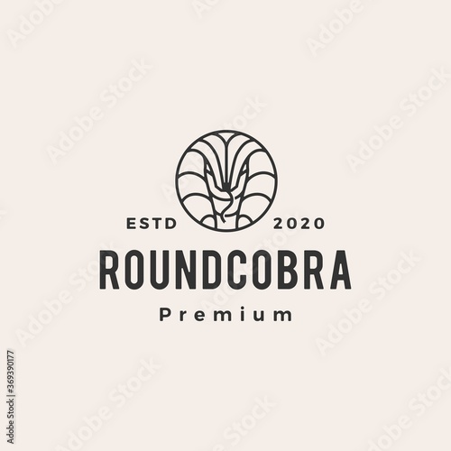 cobra hipster vintage logo vector icon illustration