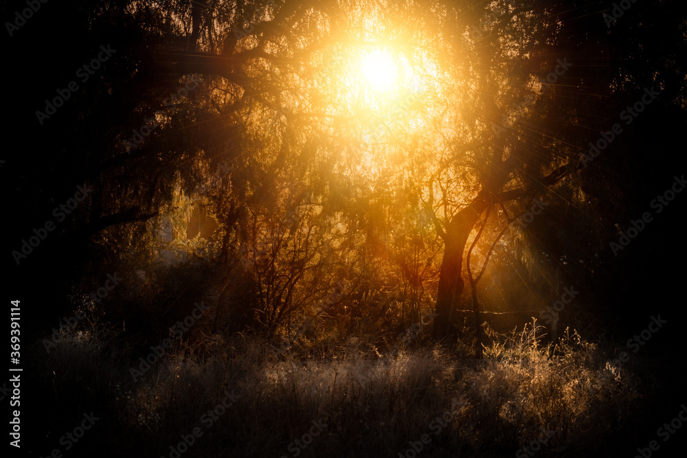 Sunset in a place full of nostalgia, dark and magical at the same time Sunset in a place full of nostalgia, dark and magical at the same time