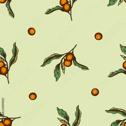 Seamless pattern with hand drawn colored solanum