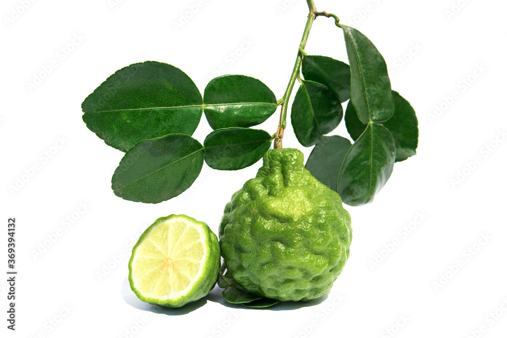 Kaffir lime fruit with green leaves isolated on white background Kaffir lime fruit with green leaves isolated on white background
