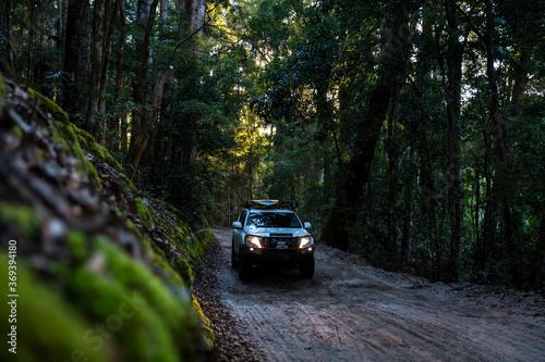 Off road vehicle in rainforest