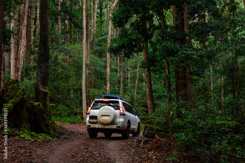 Off road vehicle in rainforest