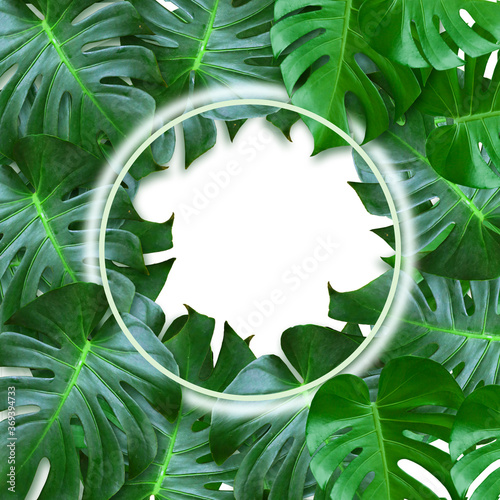 green leaves frame with copy space