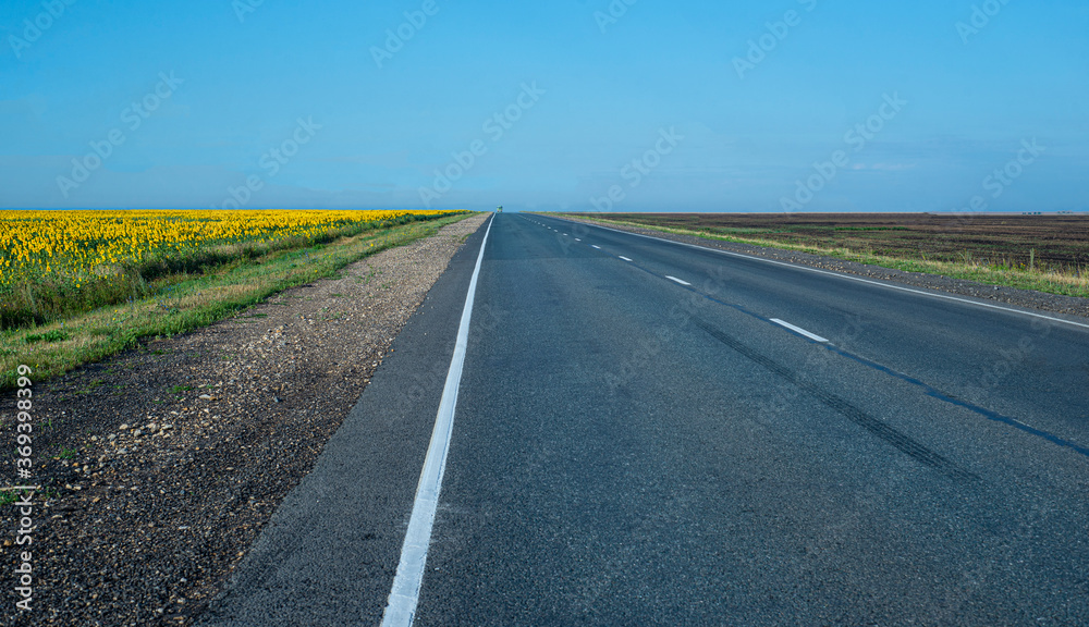  Leaving road into the distance. The track is automobile. On the edges of the road there are fields with sunflowers. Backgrounds.