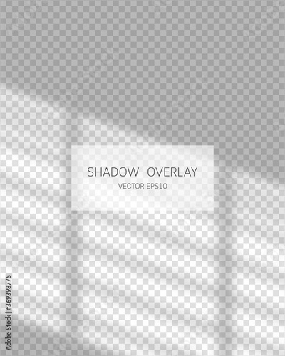 Shadow overlay effect. Natural shadows from window isolated on transparent background. Vector illustration. 
