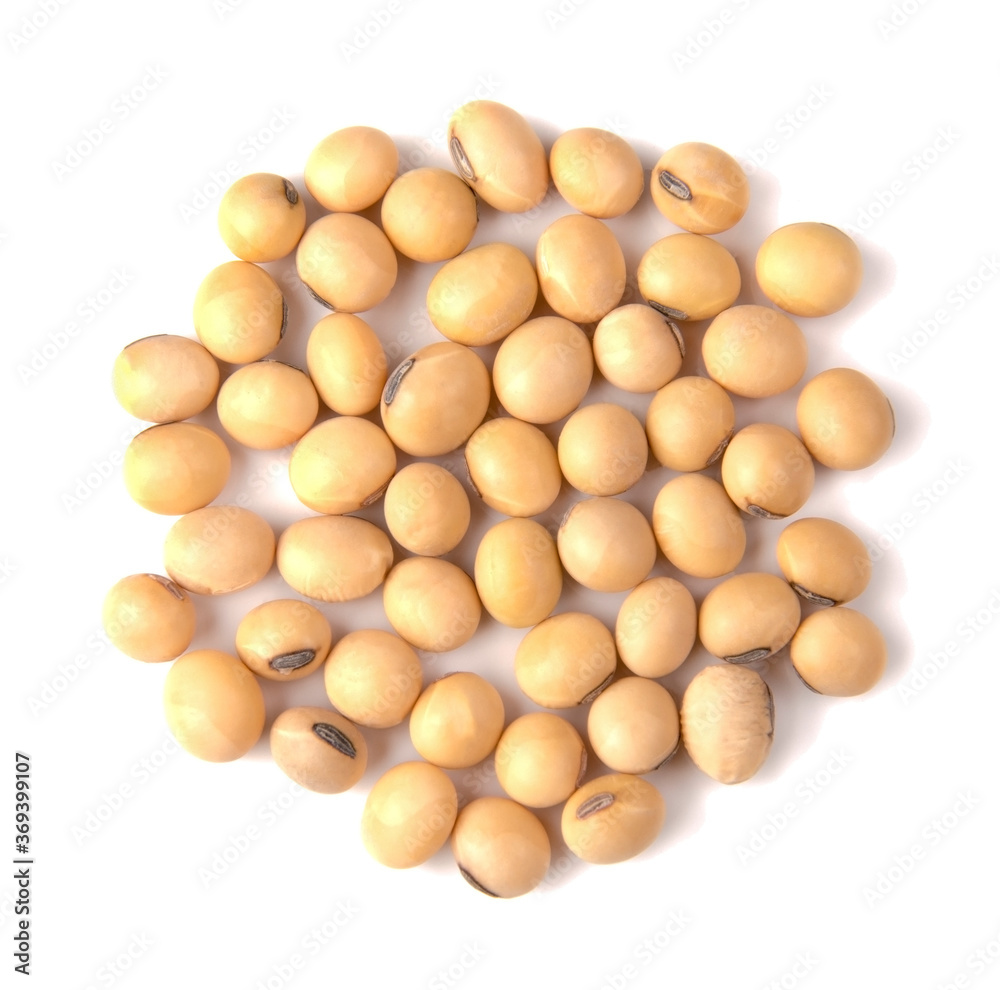 Close up Soybean isolated on a white background. Close up Soybean isolated on a white background.