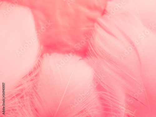 Fototapeta Naklejka Na Ścianę i Meble -  Beautiful abstract white and pink feathers on white background and soft white feather texture on pink pattern and pink background, feather background, pink banners