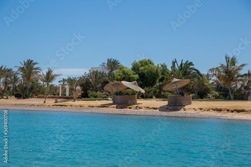 sea beach with palms and houses in egypt