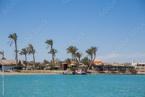 sea beach with palms and houses in egypt © dyachenkopro
