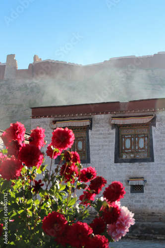 Palcho Monastery with the flowers in a sunny morning, Gyantse, Tibet, China photo