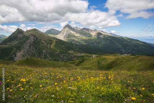 Beautiful view of italian dolomites in Trentino  Passo Rolle  Europe