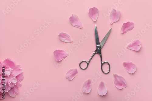 Dial of flowers. Peony, scissors and flower petals on pink background.