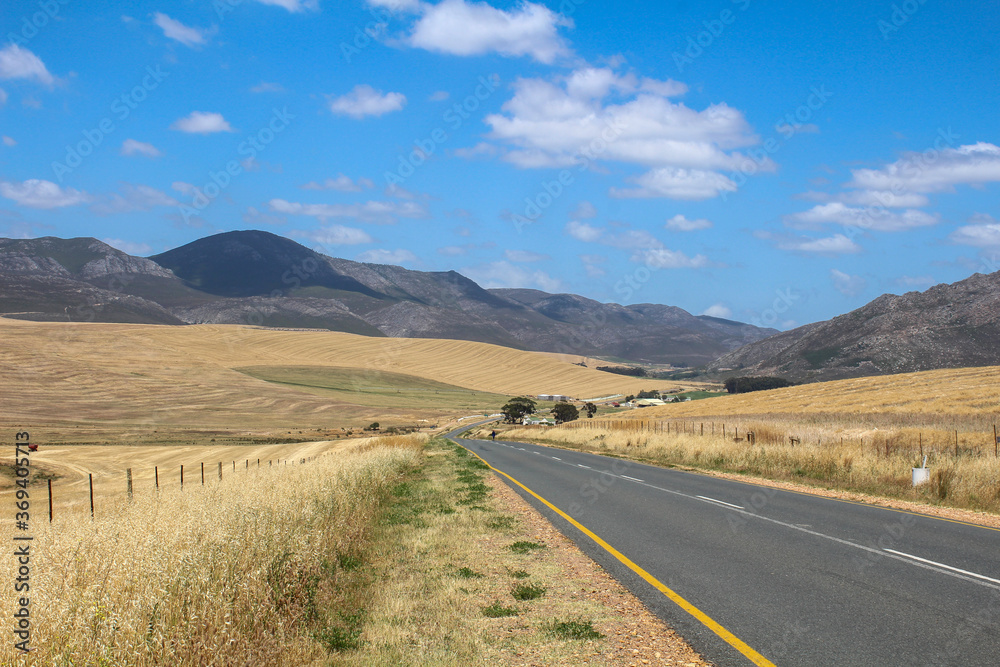 Ausblick auf Straße mit Weizenfeldern in Südafrika Gardenroute Ausblick auf Straße mit Weizenfeldern in Südafrika Gardenroute