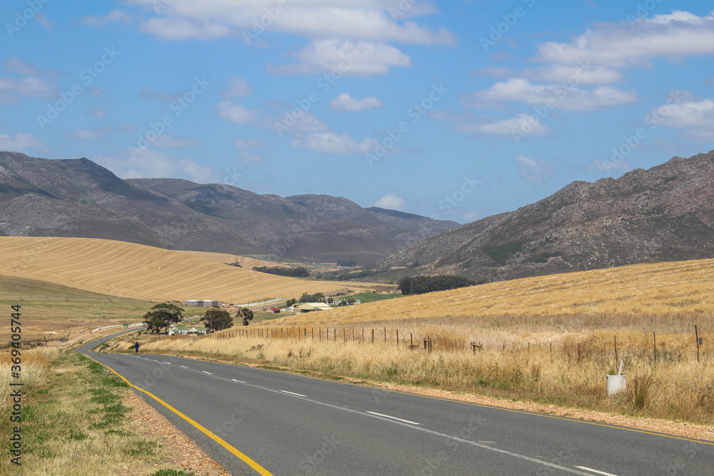 Ausblick auf Straße mit Weizenfeldern in Südafrika Gardenroute