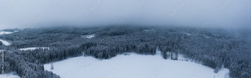 Winterwald Drohne