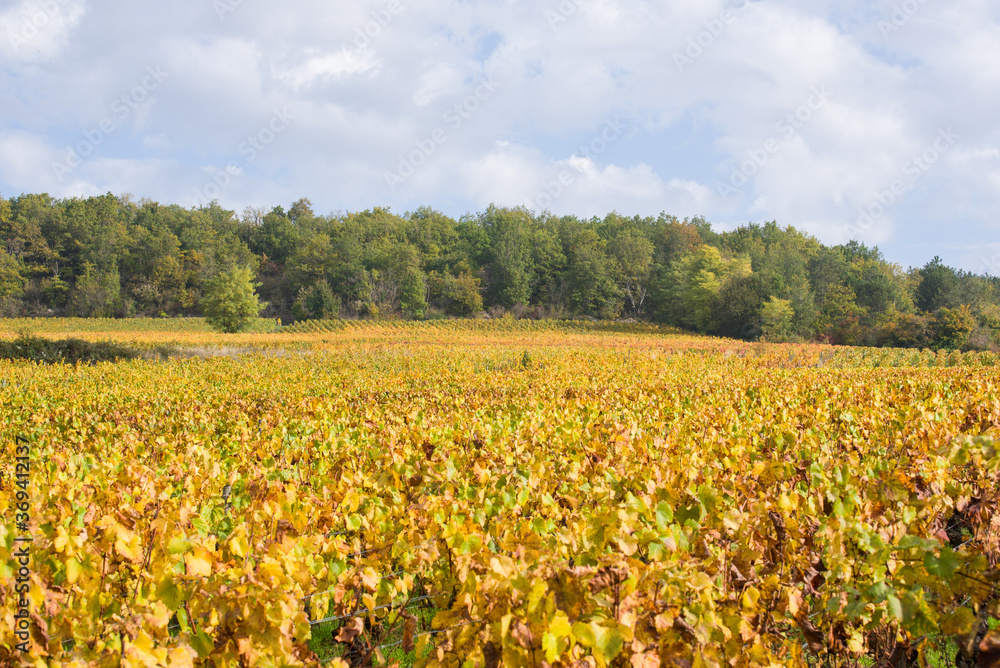 paysage bourgogne en automne paysage bourgogne en automne