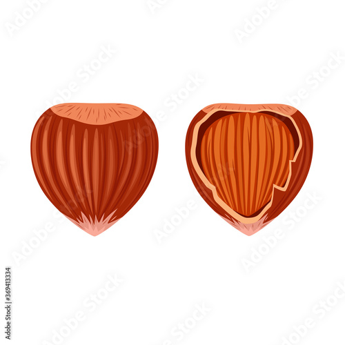 Hazelnuts in a shell and a hazelnut in a broken shell. Nuts isolated on a white background. Stock vector illustration. Design element for logo  label sign  emblem  badge.