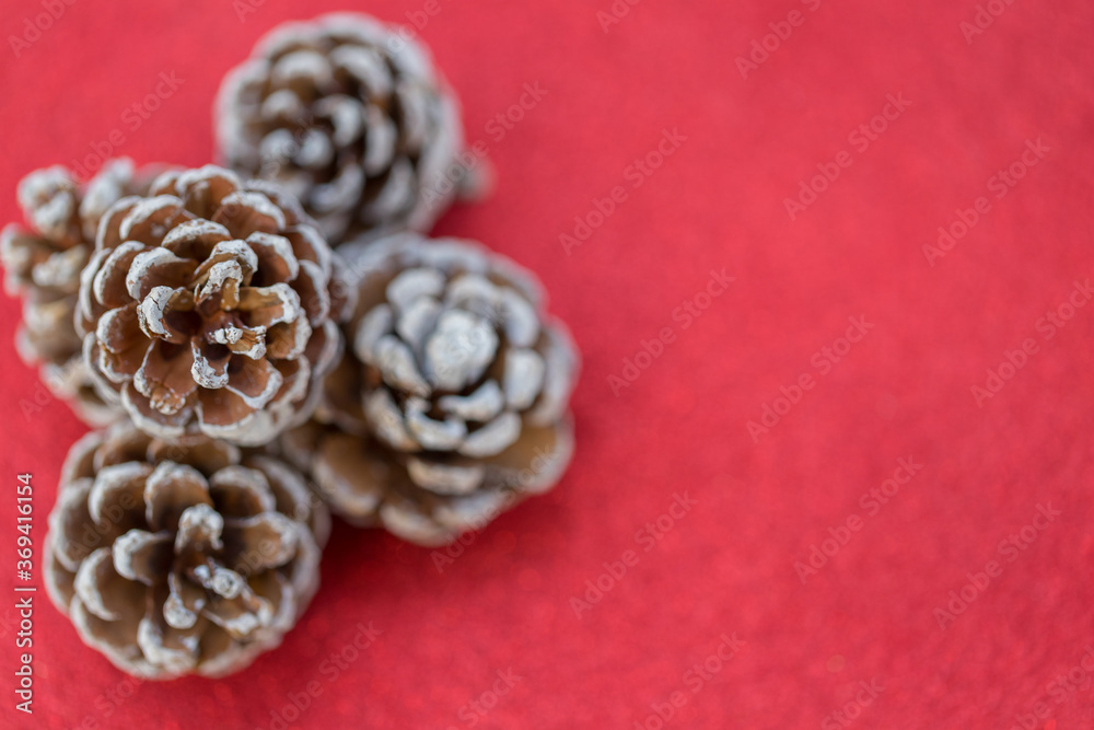 Dried pine balls on red gliter Dried pine balls on red gliter
