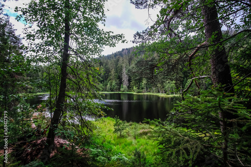 Magnifique lac en plein c  ur de la For  t Noire  en Allemagne.