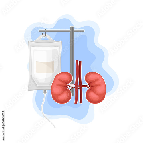 Kidneys and Saline Drip for Hospital Cure Vector Composition