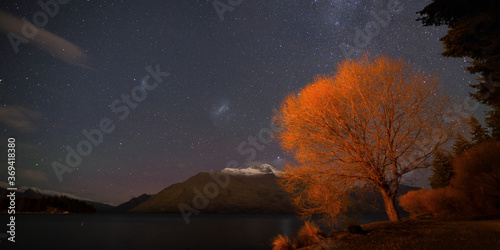 Winter willow on lake Wakatipu under the night sky with Milky Way and Magellanic clouds, Queenstown, New Zealand