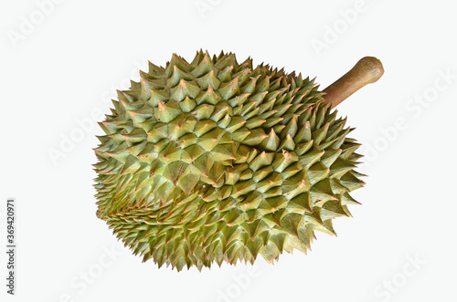 Wondeful and dangerous thorns of green durian skin closeup