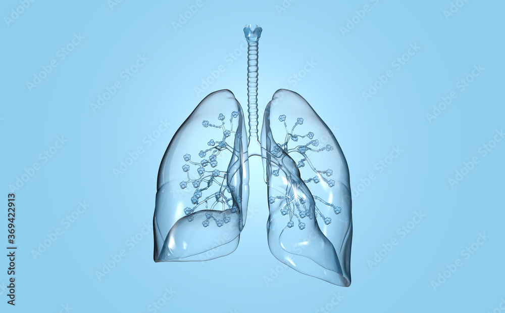 Human lungs with alveolus, medically 3D illustration - obrazy, fototapety, plakaty 