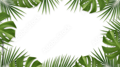 Palm leaves and monstera leaves on a white background. and a copy space with flat lay style. 3D illustration