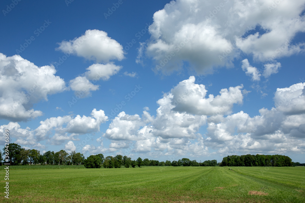 Meadow with clouds in blue sky. Friesland. Smallingerland. Nijega. Meadow with clouds in blue sky. Friesland. Smallingerland. Nijega.