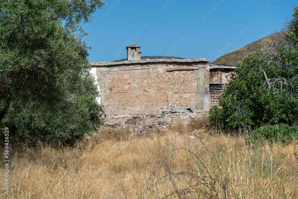 old farmhouse among trees and vegetation