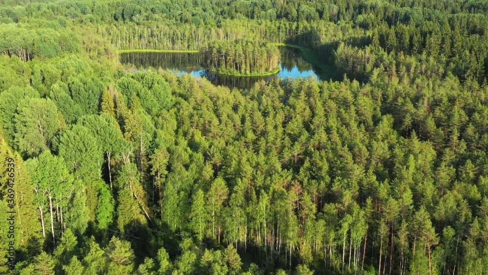 Aerial view of a lake with round island in the middle of the forest of Valday, Russia