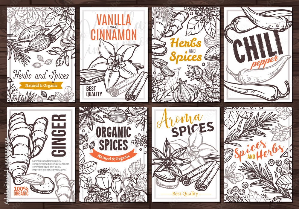 Sketch vector design templates with herbs and spices, hand drawn illustration of ginger, rosemary, mint, vanilla, cinnamon, chili pepper. Set of cards and posters with botanical and floral ingredients