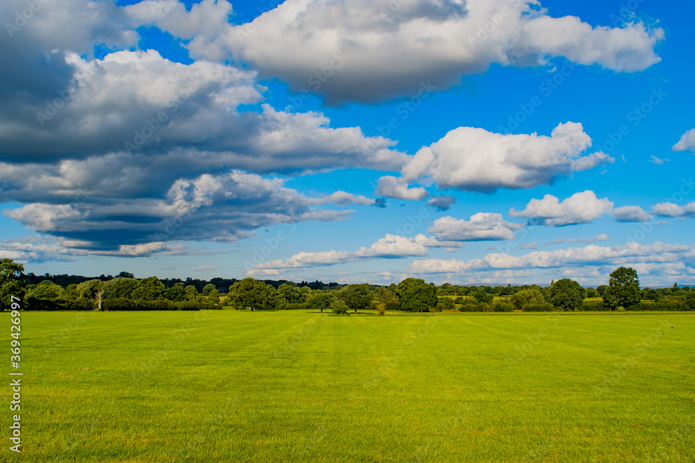 Green grass field background in England Green grass field background in England